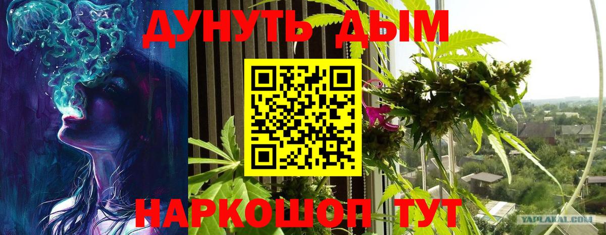 Бошки Шишки Ganja  Марихуана планчик  Вход с VPN  МАРИХУАНА семена  Каннабис MAZAR  Кисловодск 